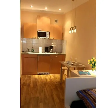 شقة Apartment Am Plaerrer